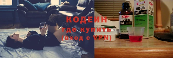 сатива Сатка