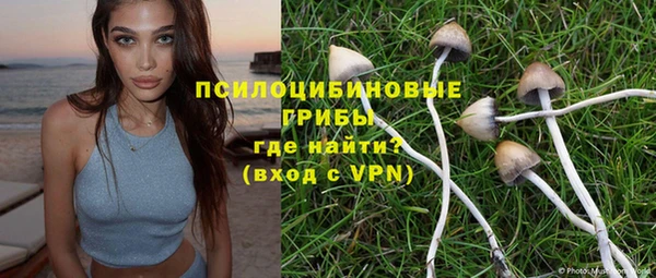 ГАЛЛЮЦИНОГЕННЫЕ ГРИБЫ Абдулино