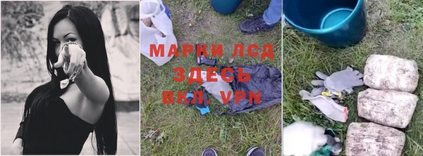 spice Абаза