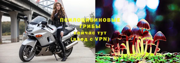 дживик Алексеевка